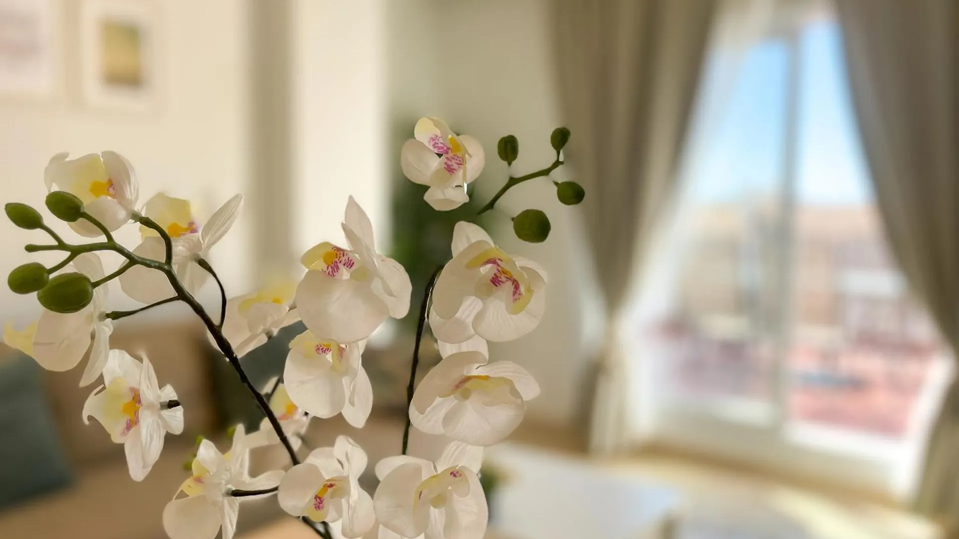 Beautifull Penthouse At Calanova Golf Lägenhet Málaga